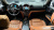 Mini Countryman ALL4 Classic, 2022
