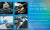 BMW X5 xDrive 40i xLine, 2024