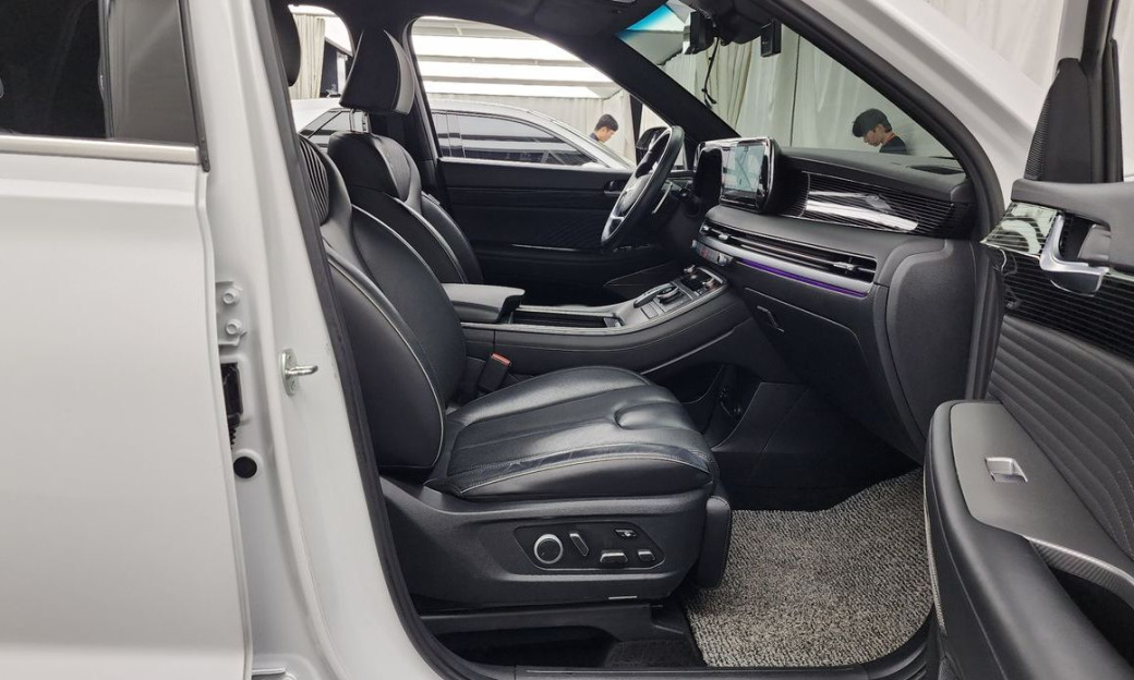 Hyundai Palisade Diesel 2.2 2WD, 2024