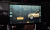 Land Rover Range Rover P530 Autobiography, 2024