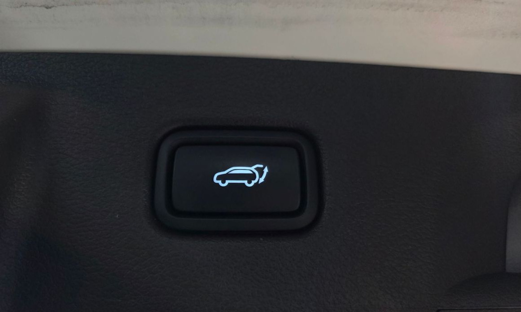 Hyundai Palisade Diesel 2.2 2WD, 2024