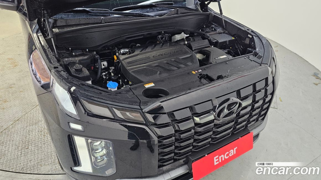 Hyundai Palisade Diesel 2.2 2WD, 2024