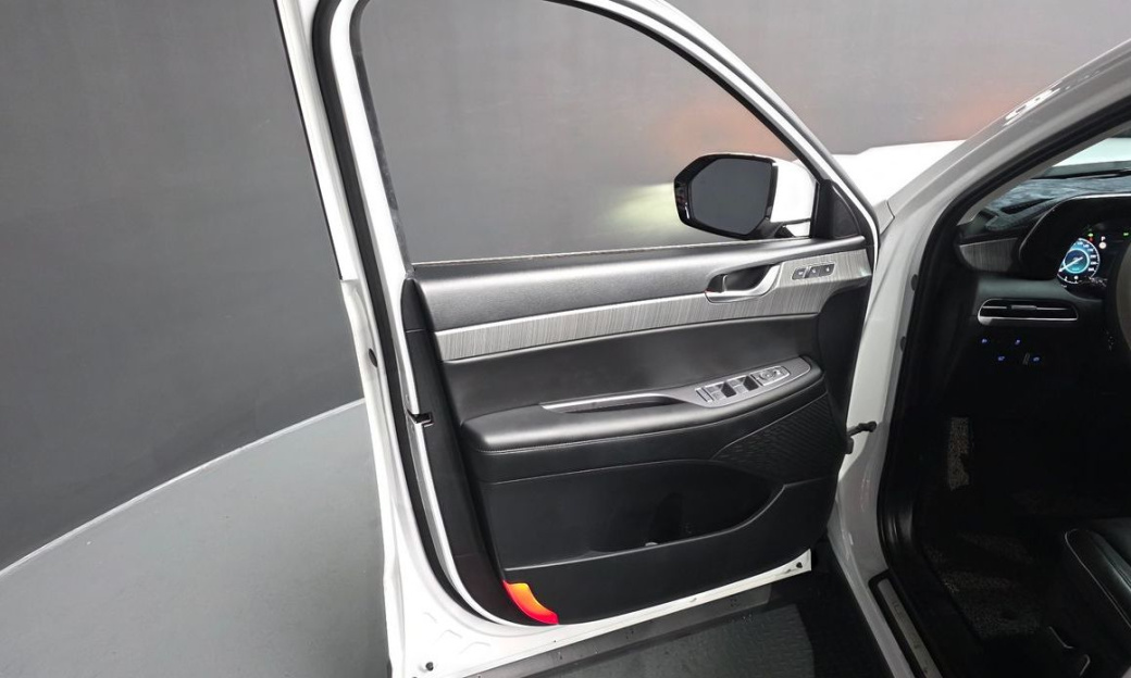 Hyundai Palisade Diesel 2.2 2WD, 2024