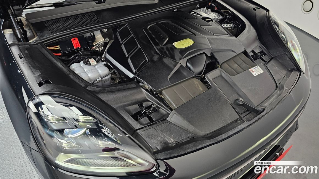 Porsche Cayenne 3.0 PLATINUM EDITION, 2023