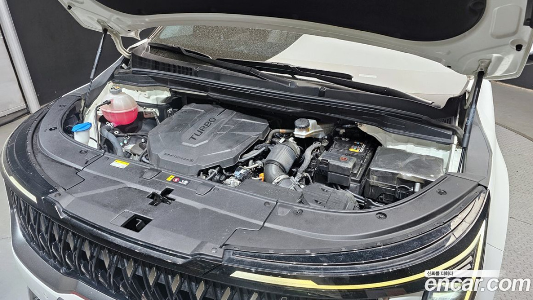 Kia Carnival 9-Seater Noblesse, 2024