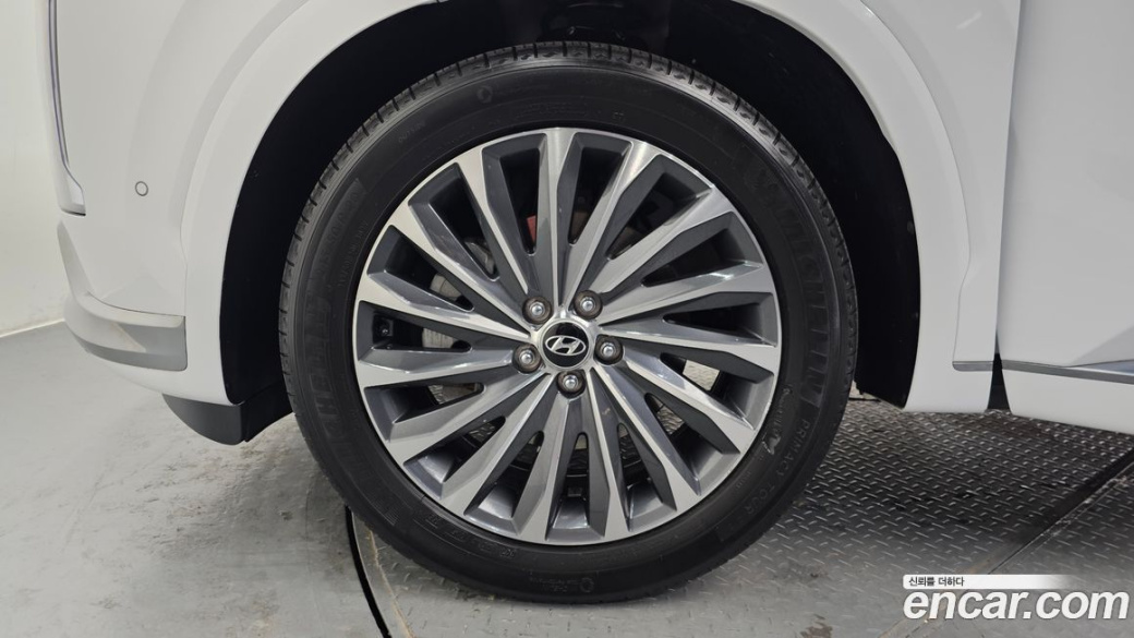Hyundai Palisade Diesel 2.2 2WD, 2024
