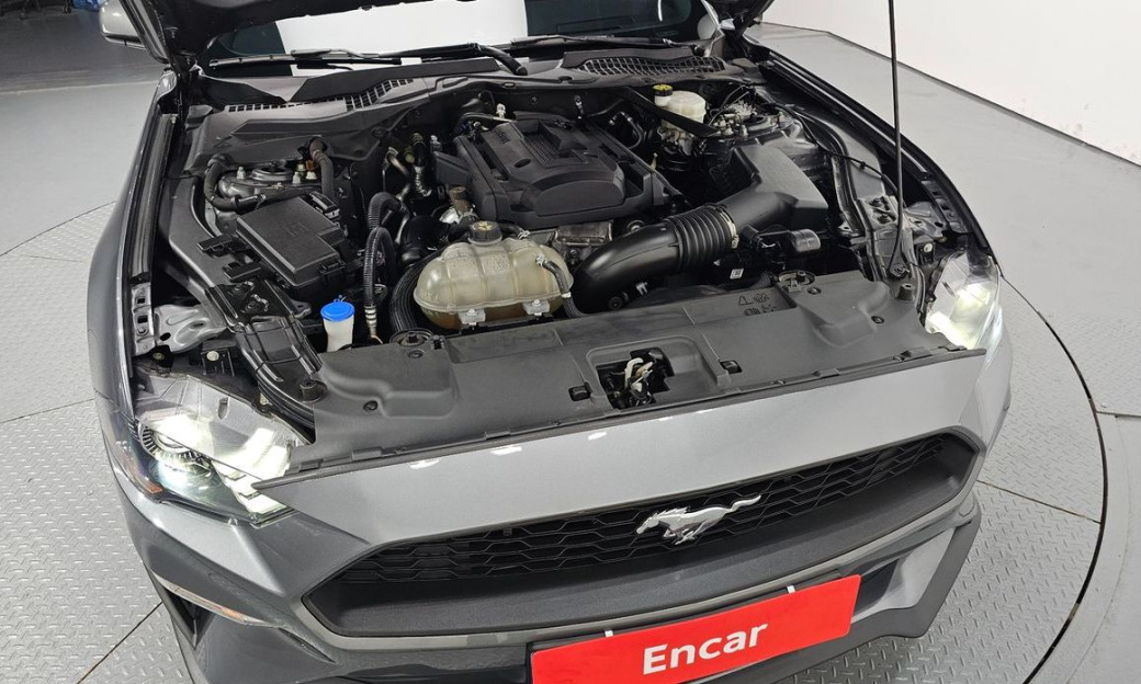 Ford Mustang Coupe, 2022