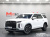 Hyundai Palisade Diesel 2.2 2WD, 2023