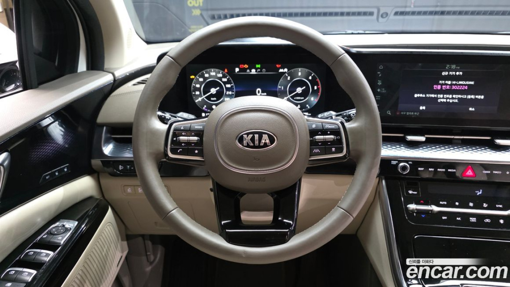 Kia Carnival 9-Seater Hi-Limousine, 2021