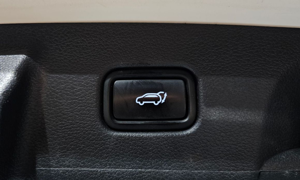 Hyundai Palisade Diesel 2.2 4WD, 2024