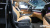 Kia Carnival 9-Seater Signature, 2022