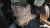 Kia Mohave Diesel 3.0 4WD 6-Seater, 2023
