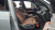 BMW X5 xDrive 30d M Sport, 2025
