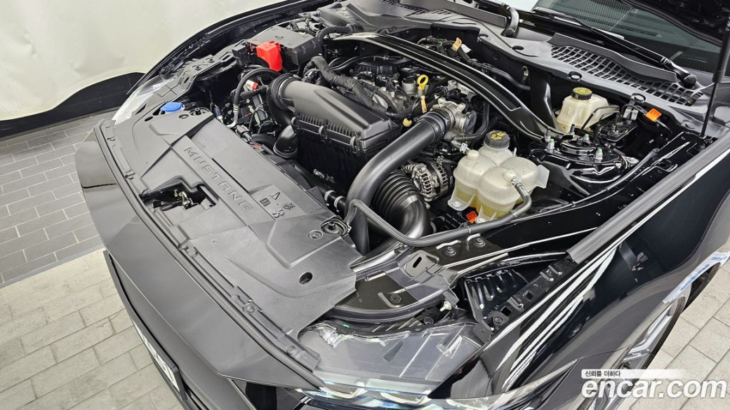 Ford Mustang 2.3 Ecoboost Premium Convertible, 2024