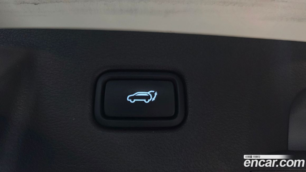 Hyundai Palisade Diesel 2.2 2WD, 2024