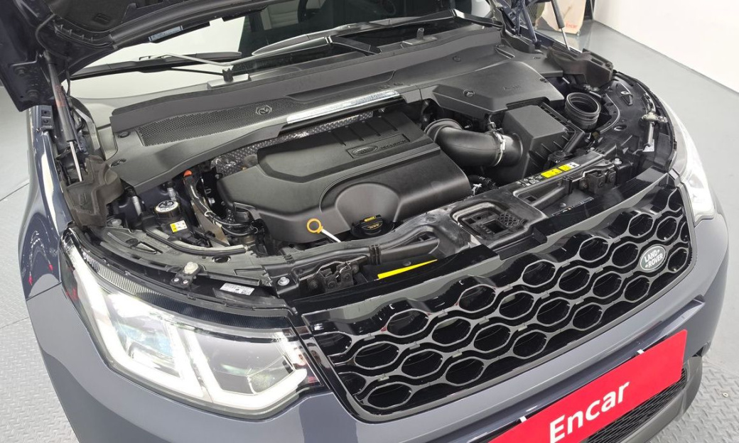 Land Rover Discovery Sport P250 Dynamic SE, 2025