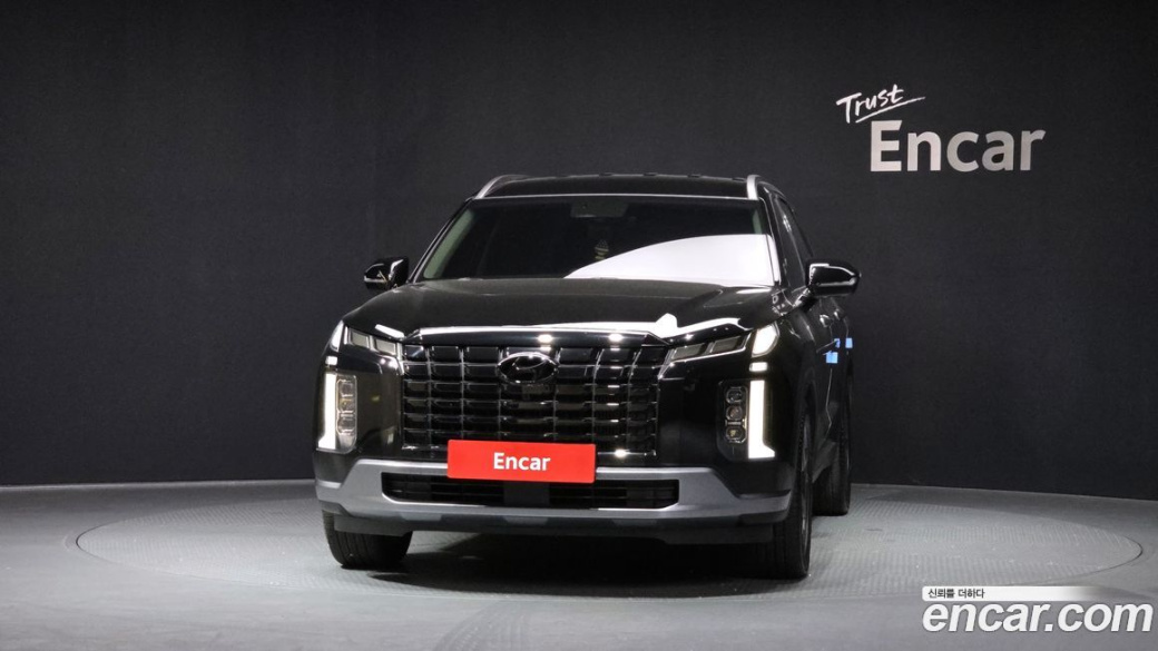 Hyundai Palisade Diesel 2.2 2WD, 2024