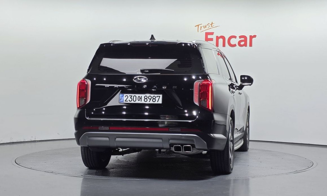 Hyundai Palisade Diesel 2.2 2WD, 2024