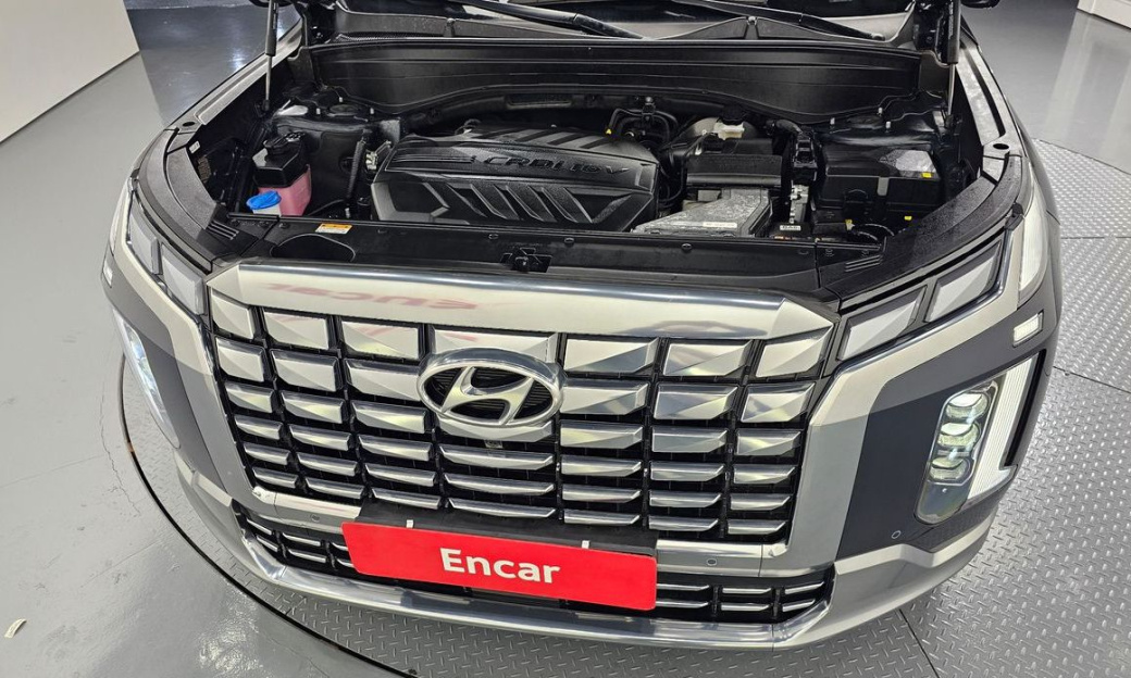 Hyundai Palisade Diesel 2.2 2WD, 2024
