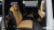 Kia Carnival 9-Seater Signature, 2023