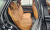 Genesis GV80 2.5T Gasoline 2WD, 2024