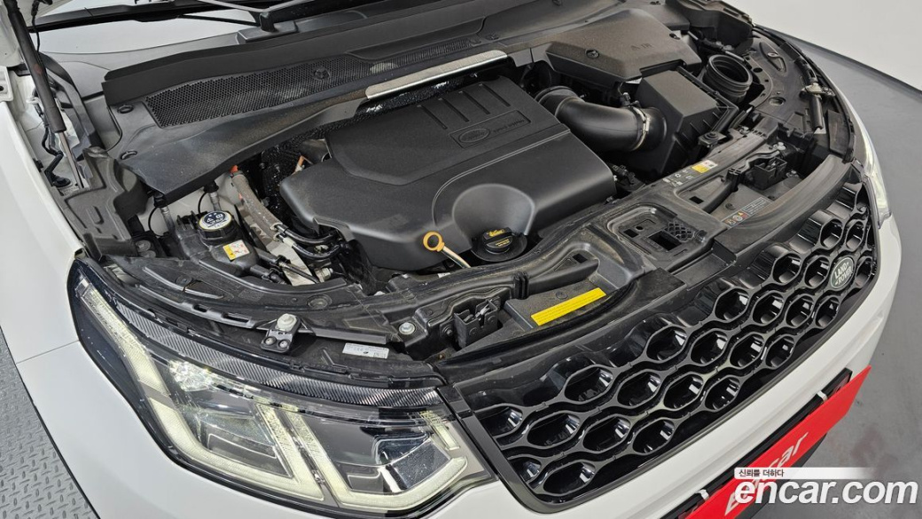 Land Rover Discovery Sport P250 Dynamic SE, 2024