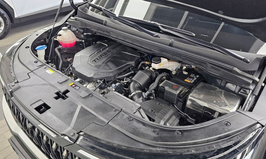 Kia Carnival 9-Seater Noblesse, 2024