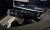 Kia Carnival 7-Seater Gravity, 2025