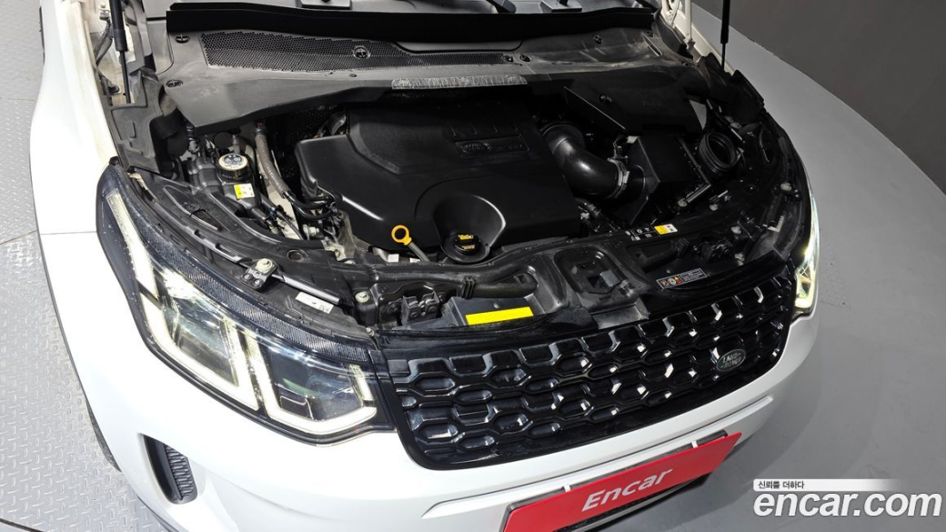 Land Rover Discovery Sport P250 SE, 2023
