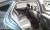 Genesis G80 Gasoline 2.5 Turbo AWD, 2022