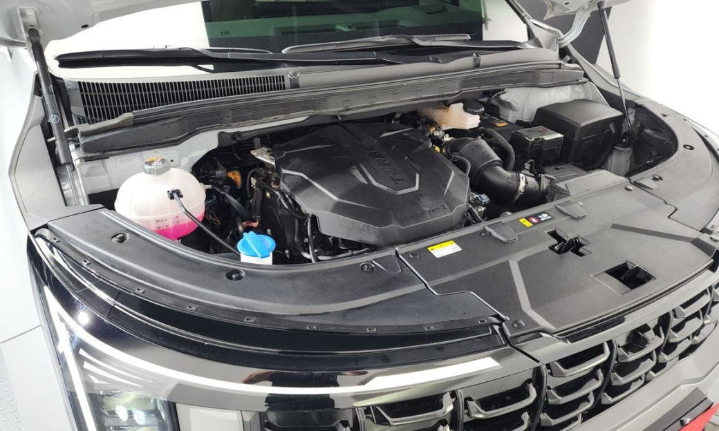 Kia Carnival 9-Seater Gravity, 2024