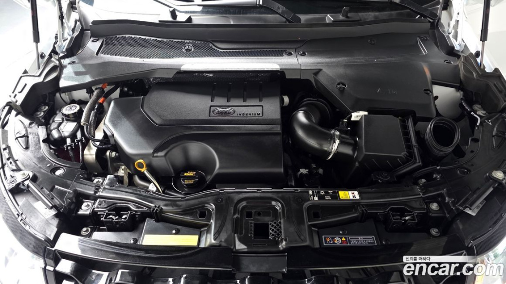 Land Rover Discovery Sport P250 Dynamic SE, 2025