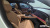 Mercedes-Benz E-Class E220d 4MATIC Exclusive, 2024
