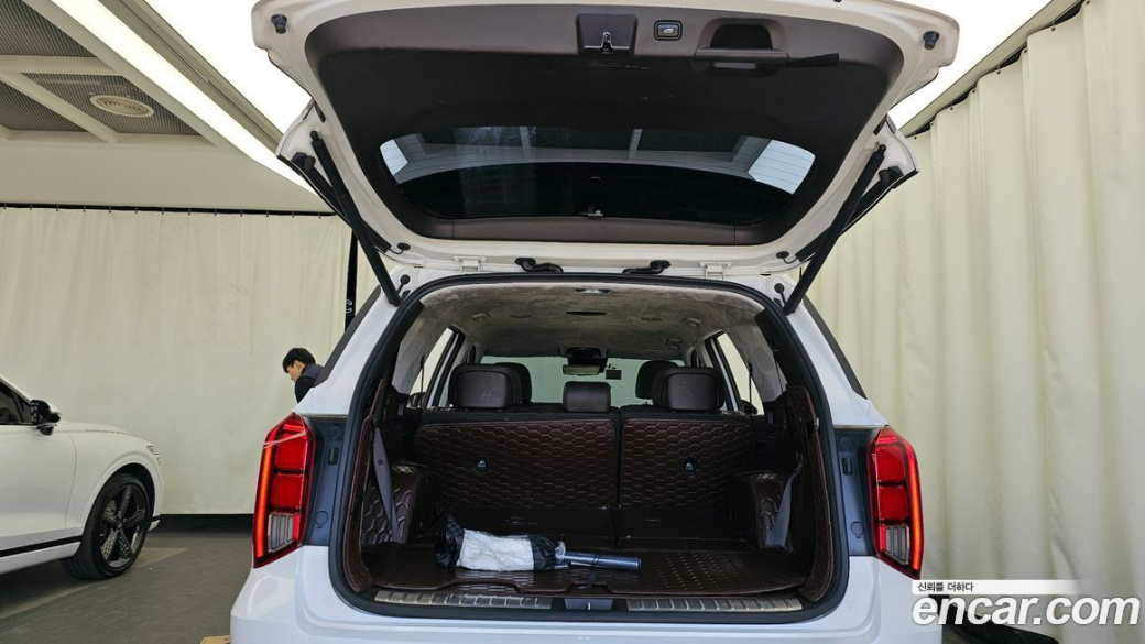 Hyundai Palisade Diesel 2.2 2WD, 2024