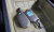 Kia Tasman 2.5T Gasoline 4WD, 2026