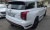 Hyundai Palisade Diesel 2.2 4WD, 2024