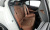 BMW 5-Series 530i xDrive M Sport, 2024