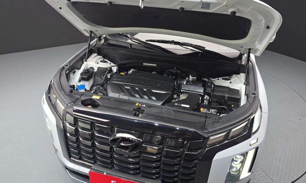 Hyundai Palisade Diesel 2.2 2WD, 2024