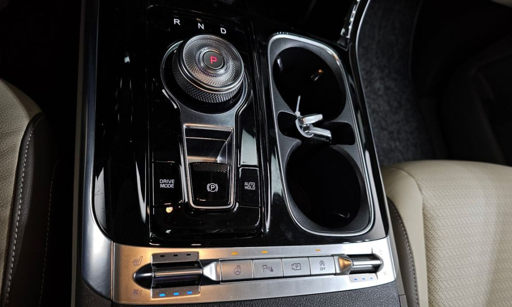 Kia Carnival 9-Seater Hi-Limousine(Special Vehicle), 2021