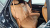 Genesis GV80 2.5T Gasoline AWD, 2025