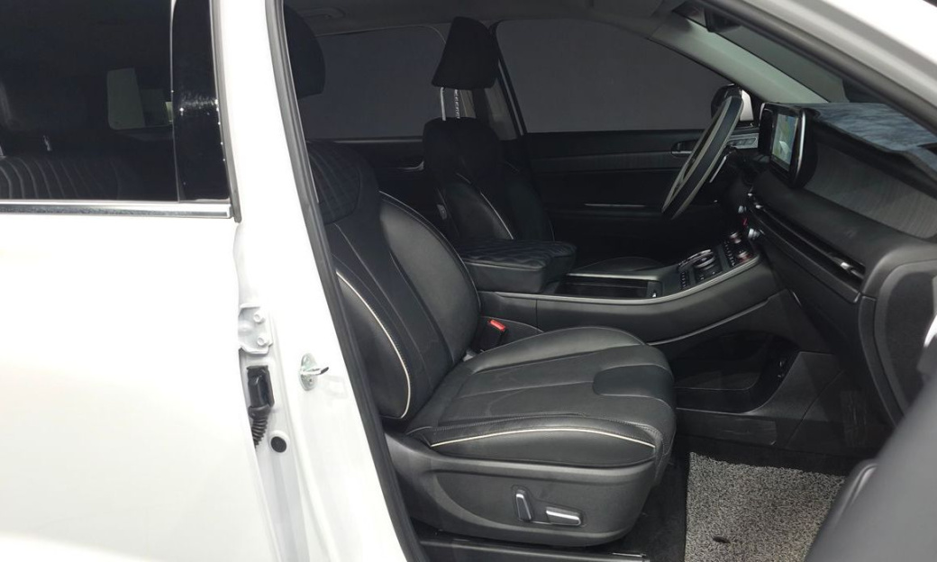 Hyundai Palisade Diesel 2.2 2WD, 2024