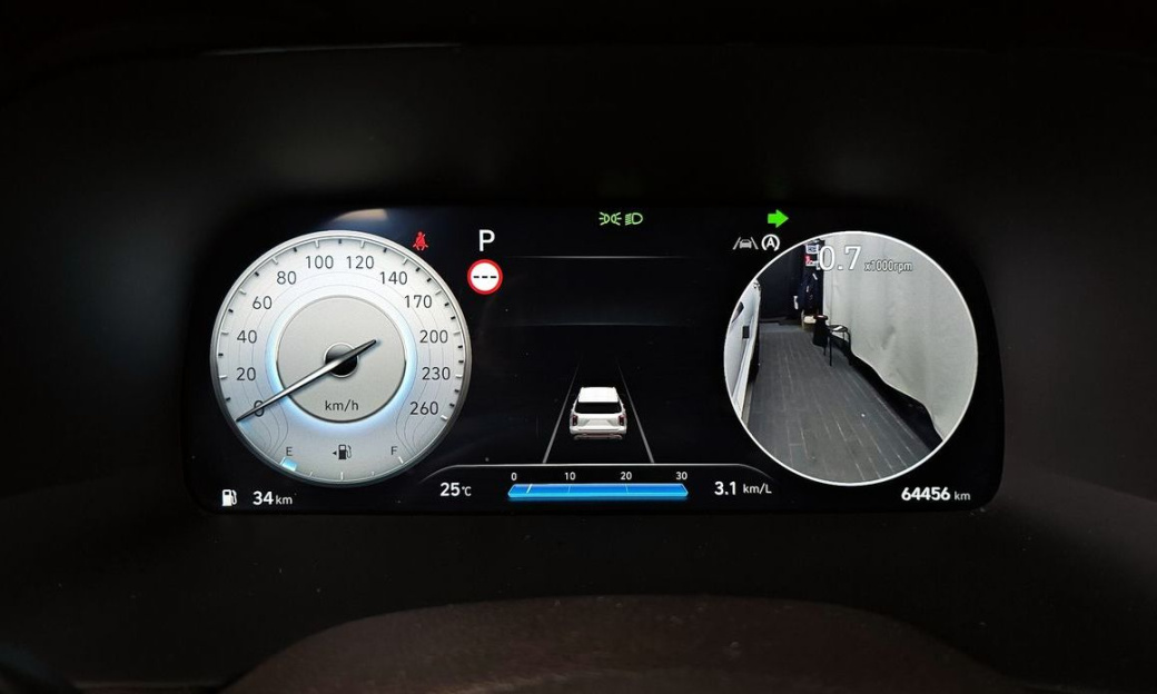 Hyundai Palisade Diesel 2.2 2WD, 2024
