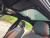 BMW 5-Series 530i xDrive M Sport, 2025