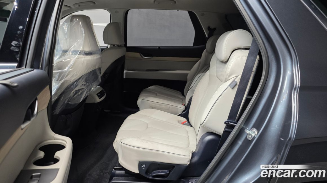 Hyundai Palisade Diesel 2.2 2WD, 2024