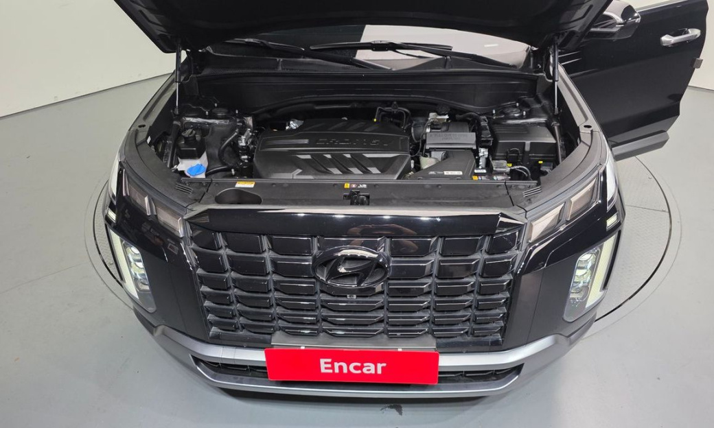Hyundai Palisade Diesel 2.2 2WD, 2024