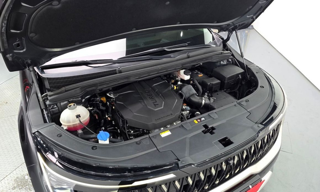 Kia Carnival 9-Seater Prestige, 2024