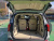 Kia Carnival 7-Seater Gravity, 2025