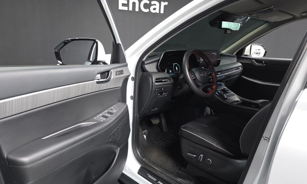 Hyundai Palisade Diesel 2.2 2WD, 2024