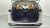Kia Carnival 9-Seater Prestige, 2023