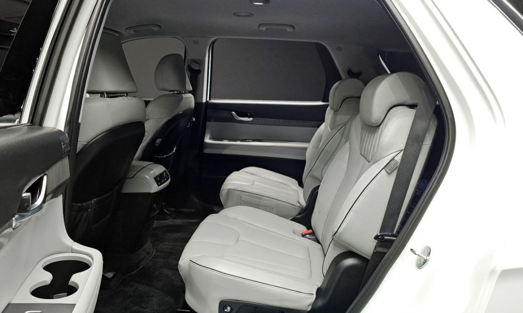 Hyundai Palisade Diesel 2.2 2WD, 2024